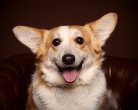 Nellie
