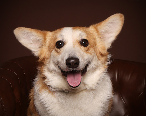 Nellie